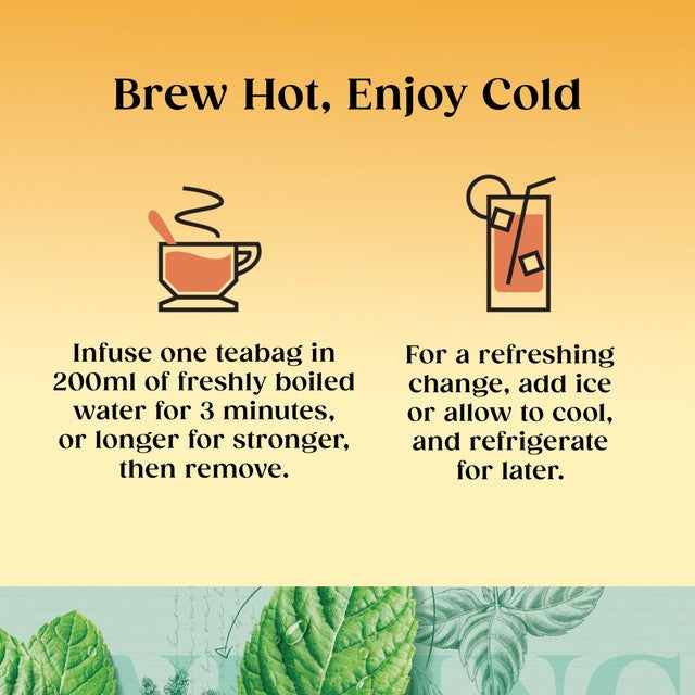 Twinings peppermint herbal tea (British brand)
