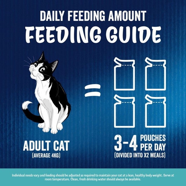 Felix Ocean Feasts in jelly wet cat food 40 x 85g pouches - British product