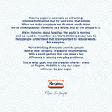 Regina Blitz kitchen roll 3 roll, imported from the UK