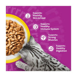 Whiskas poultry feasts wet cat food pouches 12x85g (British brand)