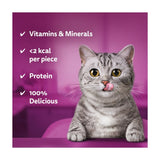 Whiskas Temptations salmon cat treat biscuits 60g (British brand)