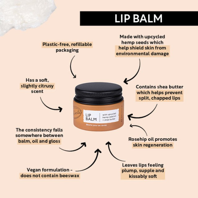 UpCircle lip balm with hemp seed oil and shea butter 15ml (British brand)