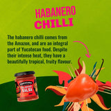 Capsicana Full On Feisty Salsa 285g - British product