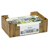 Bulbs Blue White Collection x100