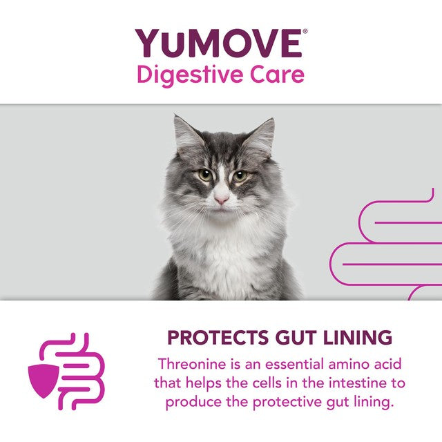 Lintbells YuMOVE PLUS dog digestive health supplement (British brand)