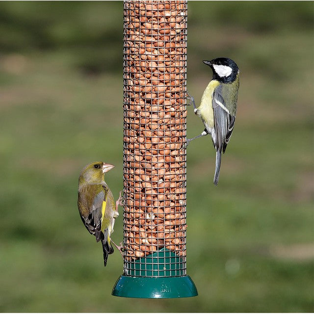 RSPB Premium Peanuts 900g, imported from the UK