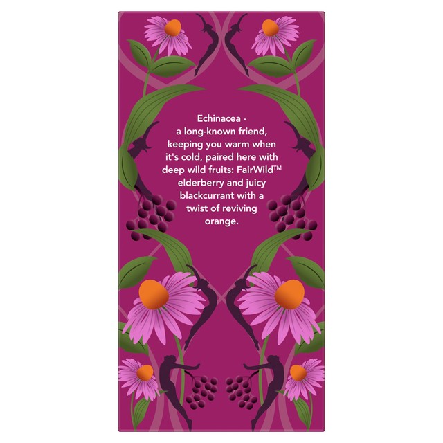 Pukka Herbs Elderberry and Echinacea fruit tea 20 compostable tea bags, imported from the UK
