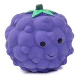 Petface Latex Blackberry Large Dog Toy