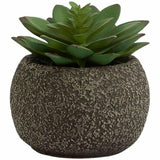 M&S Moss & Sweetpea Artificial Mini Succulent Pot Green Artificial Plant Pot One Size