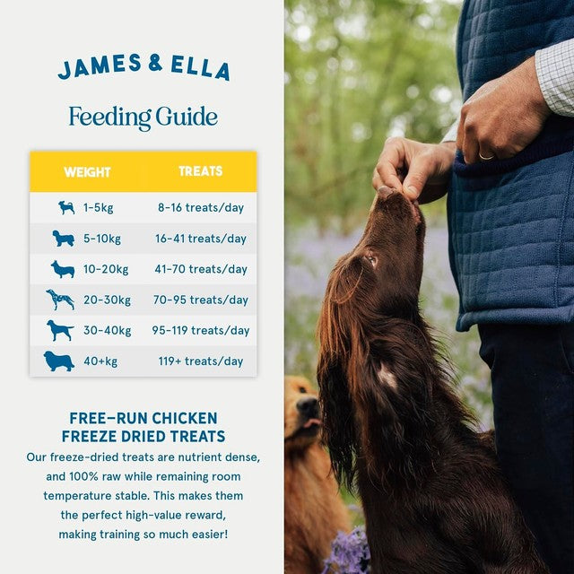 James & Ella freeze-dried raw chicken dog treats 40g, UK version