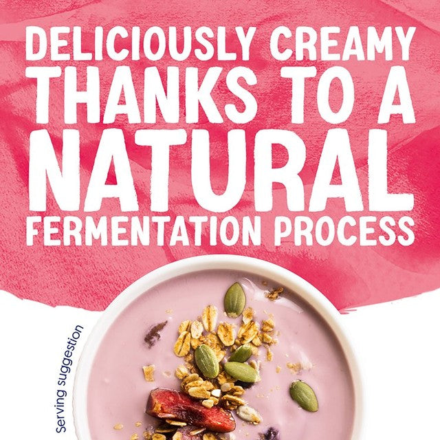 Alpro blueberry cherry dairy-free yogurt alternative 4 x 125g pack - British product