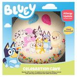 Finsbury Food Group Bluey celebration cake 859g - British product