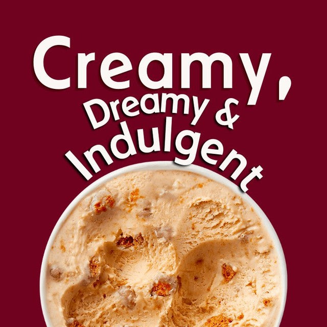 Häagen-Dazs caramel biscuit and cream ice cream 460ml, UK version