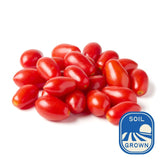 Natoora Sicilian Datterini tomatoes 200g, imported from the UK