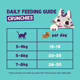 Edgard & Cooper salmon cat treat crunchies 60g - British product
