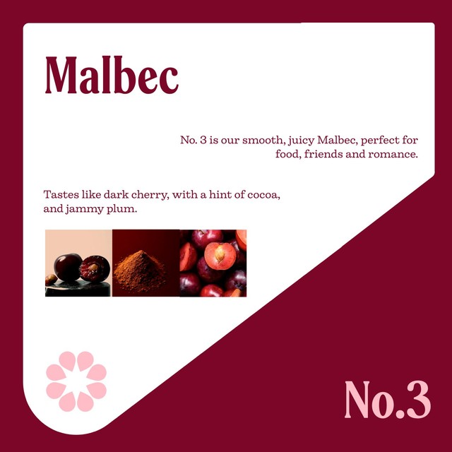 NICE Argentinian Malbec red wine 2.25L, imported from the UK