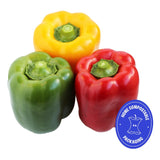 Wholegood Organic Mixed Peppers Trio Pack
