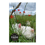 Packington free range medium whole chicken 1.75kg, imported from the UK