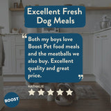 Boost Pet chicken with superfoods wet dog food 400g - British product