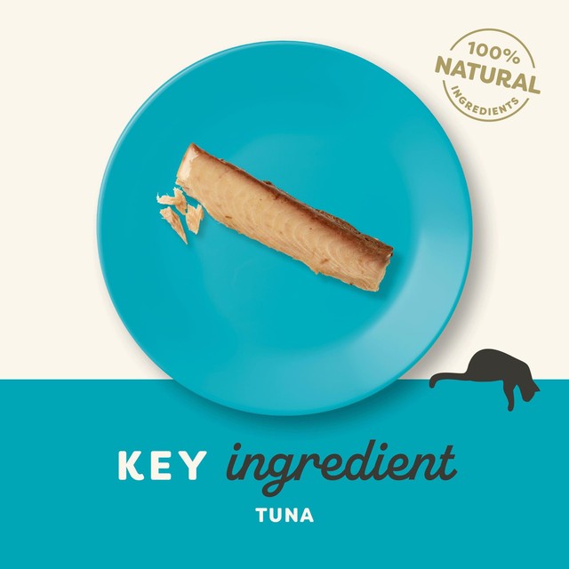Applaws cat treat tuna loin plain 30g - British product