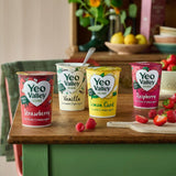 Yeo Valley organic raspberry yogurt 450g (British brand)