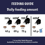 Felix dry cat food salmon and vegetables 2kg - British product