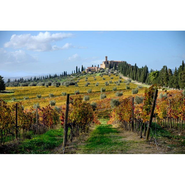 Castello Banfi Chianti Classico DOCG red wine 75cl - British product