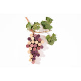 Babylonstoren Chenin Blanc