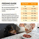 Benyfit Natural chicken raw dog food 1kg - British product