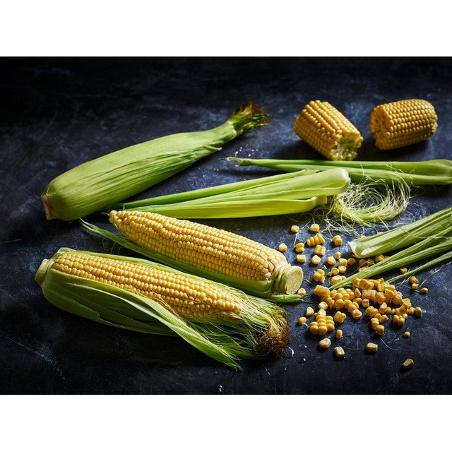 M&S Super Sweet Corn on the Cob 2 Pack, imported from the UK