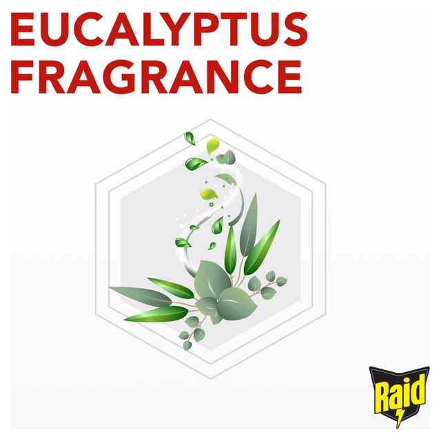 Raid insect killer with eucalyptus oil 300ml, imported from the UK