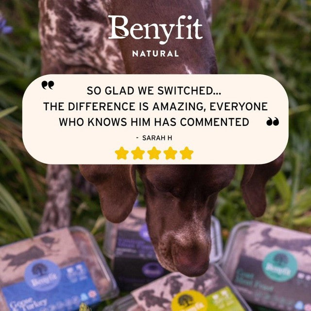 Benyfit Natural Meat Feast raw dog food 1kg - British product
