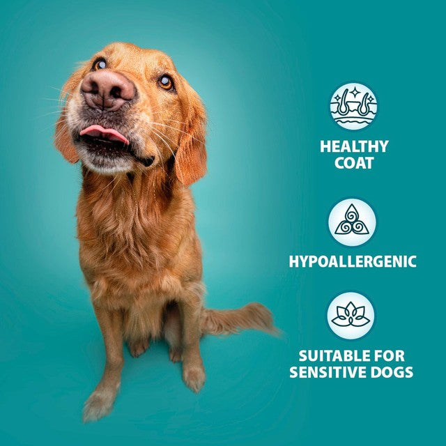 Burns Free Range Chicken wet dog food 6x395g - British product