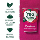 Yeo Valley organic raspberry yogurt 450g (British brand)