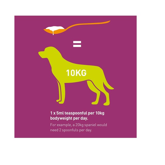 Vets Kitchen Healthy Skin Supplement for Dogs chicken flavoured 300ml (British brand)