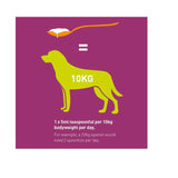 Vets Kitchen Healthy Skin Supplement for Dogs chicken flavoured 300ml (British brand)