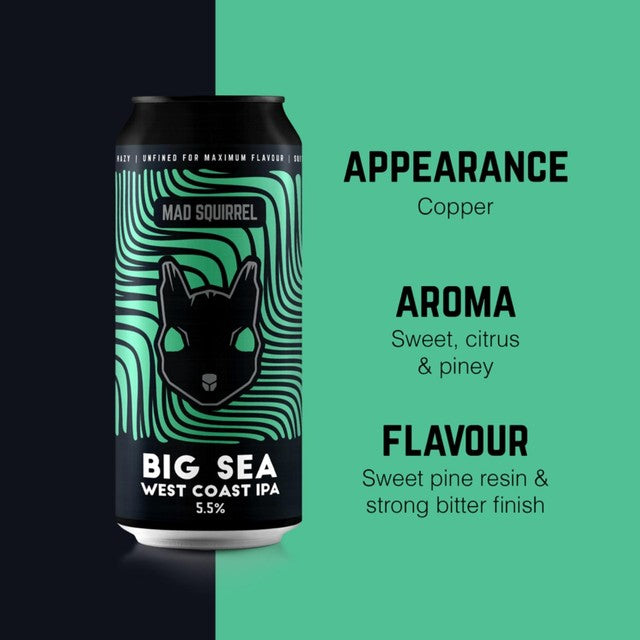 Mad Squirrel West Coast IPA beer 440ml can, imported from the UK