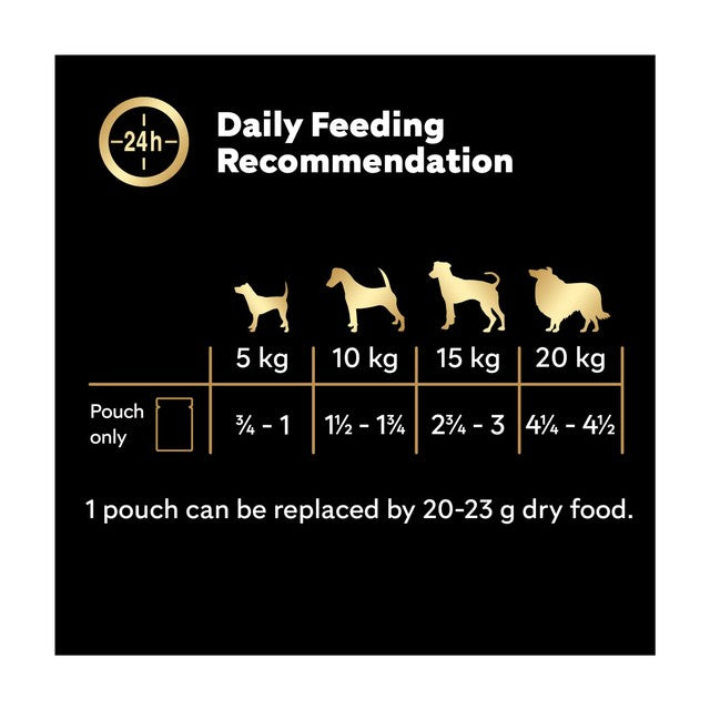 Cesar dog food pouches Favourites in Sauce 24x100g - British product