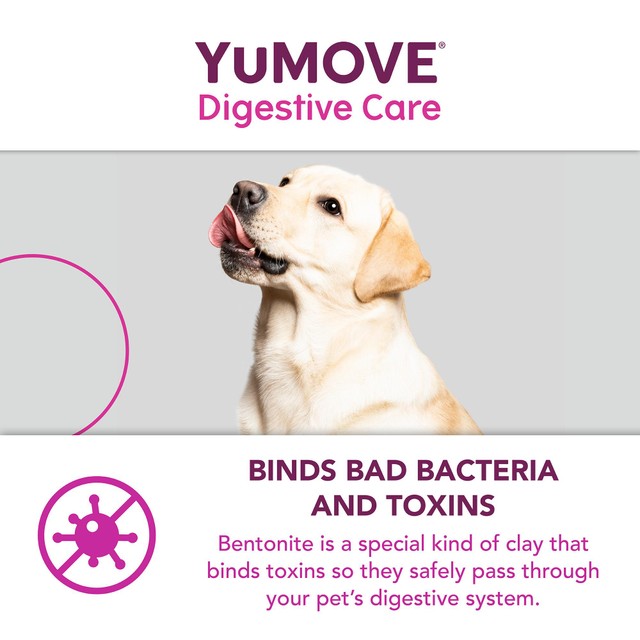 Lintbells YuMOVE PLUS dog digestive health supplement (British brand)