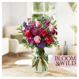 Bloom Wild The Celebration Blooms