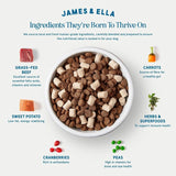 James & Ella kibble and freeze-dried raw beef dog food 1.5kg, UK version
