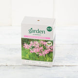 Sainsburys Garden Nerine Bowdenii x2