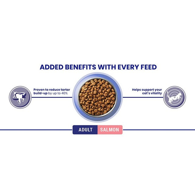 Purina One salmon dry cat food 3kg, imported from the UK