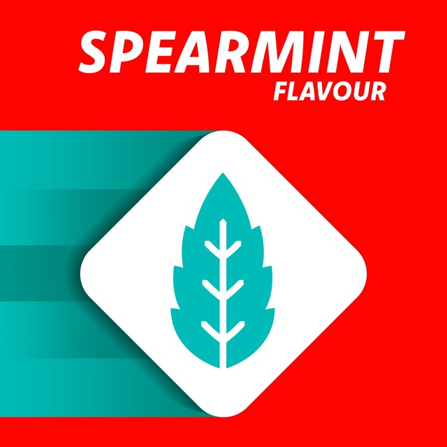 Rennie spearmint heartburn relief tablets 24 tablets, imported from the UK