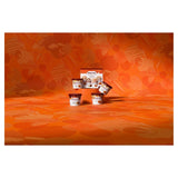 Haagen-Dazs Caramel Collection ice cream mini cups 4x95ml, UK version