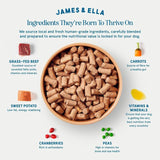 James & Ella beef dog food 100g, UK version