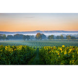 Nyetimber Classic Cuvee NV sparkling wine 75cl, imported from the UK
