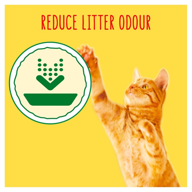 Go-Cat indoor chicken dry cat food 2kg - British product