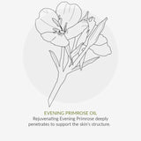 Green People Organic Facial Oil Cell Enrich Age Defy+ 30ml, UK version
