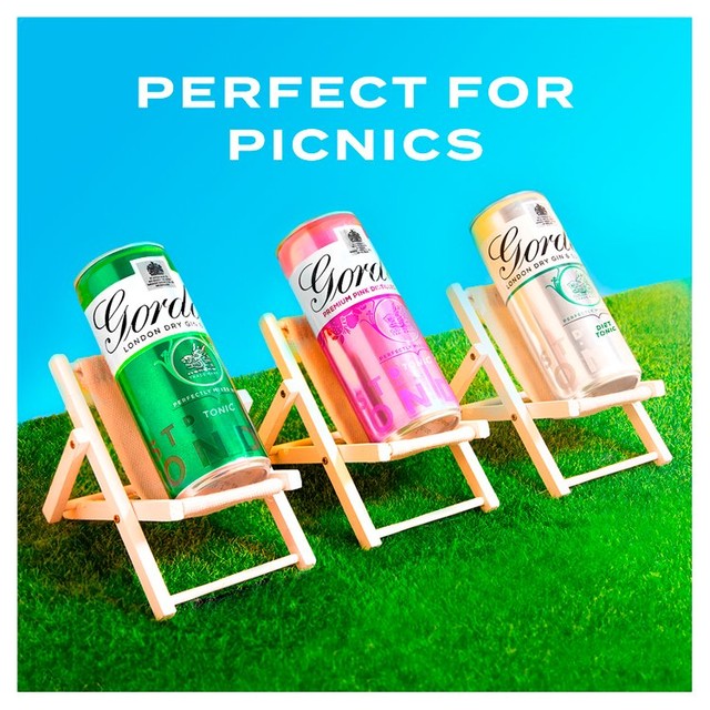 Gordon's premixed gin and diet tonic 250ml can, UK version